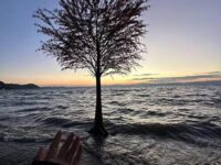 Scared 2 be lonely beat（当真爱降临） - Yn1Jasper