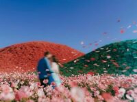 恋爱季歌词 - 布鲁昔