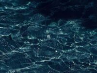 春歌词 - 陈文非