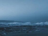 引力歌词 - 张星特