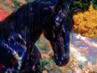 迎马歌词 - 雾也至Woo Yeah