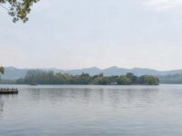 春和景明歌词 - 没眼泪的猪