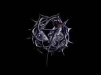 刺歌词 - 时代少年团