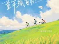 童年纸飞机歌词 - 海来阿木