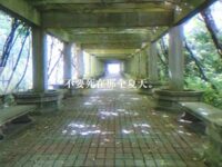 不要死在那个夏天 - 路明熹