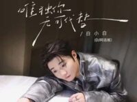 唯独你无可代替歌词 - 白小白