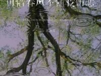 可惜春风不懂我伤悲歌词 - 范贵宾