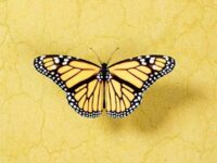 万古药歌词 - CashTrippy