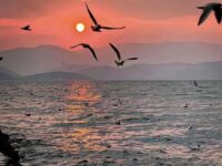 长安姑娘(一生一世一双人)歌词 - 萧默然