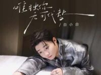 唯独你无可代替歌词 - 白小白