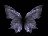 孤独Person歌词 - Herme4 / WhyAce / Zy