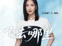 飞去哪里歌词 - 陈粒