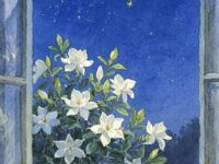 栀子花般的她歌词 - Zzh