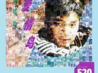 爱情鸟(520 版)歌词 - 林依轮