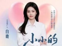 小小的歌词 - 白鹿