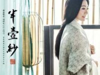 半壶纱歌词 - 刘珂矣