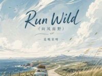 Run Wild (向风而野)(中文版)歌词 - 是晚星呀