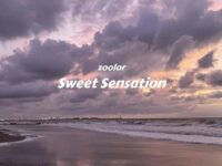 Sweet Sensation歌词 - zoolor