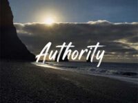 Authority歌词 - 陆羽