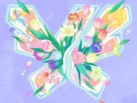相遇歌词 - 卓沅