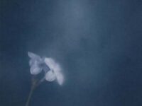 Mt窒息歌词 - 小奥奥 / 张智超
