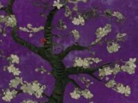 juliet歌词 - JVKE/BRYANT BARNES/Emilio Piano