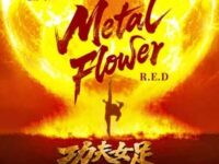 Metal Flower (《功夫女足》电影插曲)歌词 - R.E.D