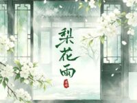梨花雨歌词 - 姜添 / 听潮阁