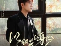 以朋友的身份歌词 - 王铮亮