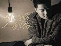 梦的翅膀受了伤 (大圆哥版)歌词 - 大圆哥