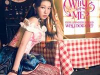 Why (Chinese Ver.)歌词 - 沈佳润 (NINA)
