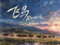 飞鸟Remix歌词 - 宝石Gem/安达组合