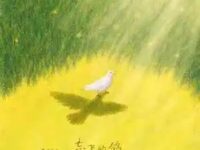 忘飞的鸽歌词 - 黄子弘凡