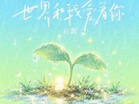 世界和我爱着你歌词 - 石凯