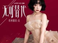 无可替代 (《无可替代》电视剧主题曲)歌词 - 希林娜依高